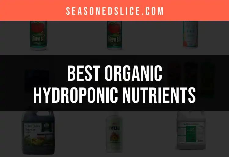 17 Top Organic Hydroponic Nutrients for Thriving Plants